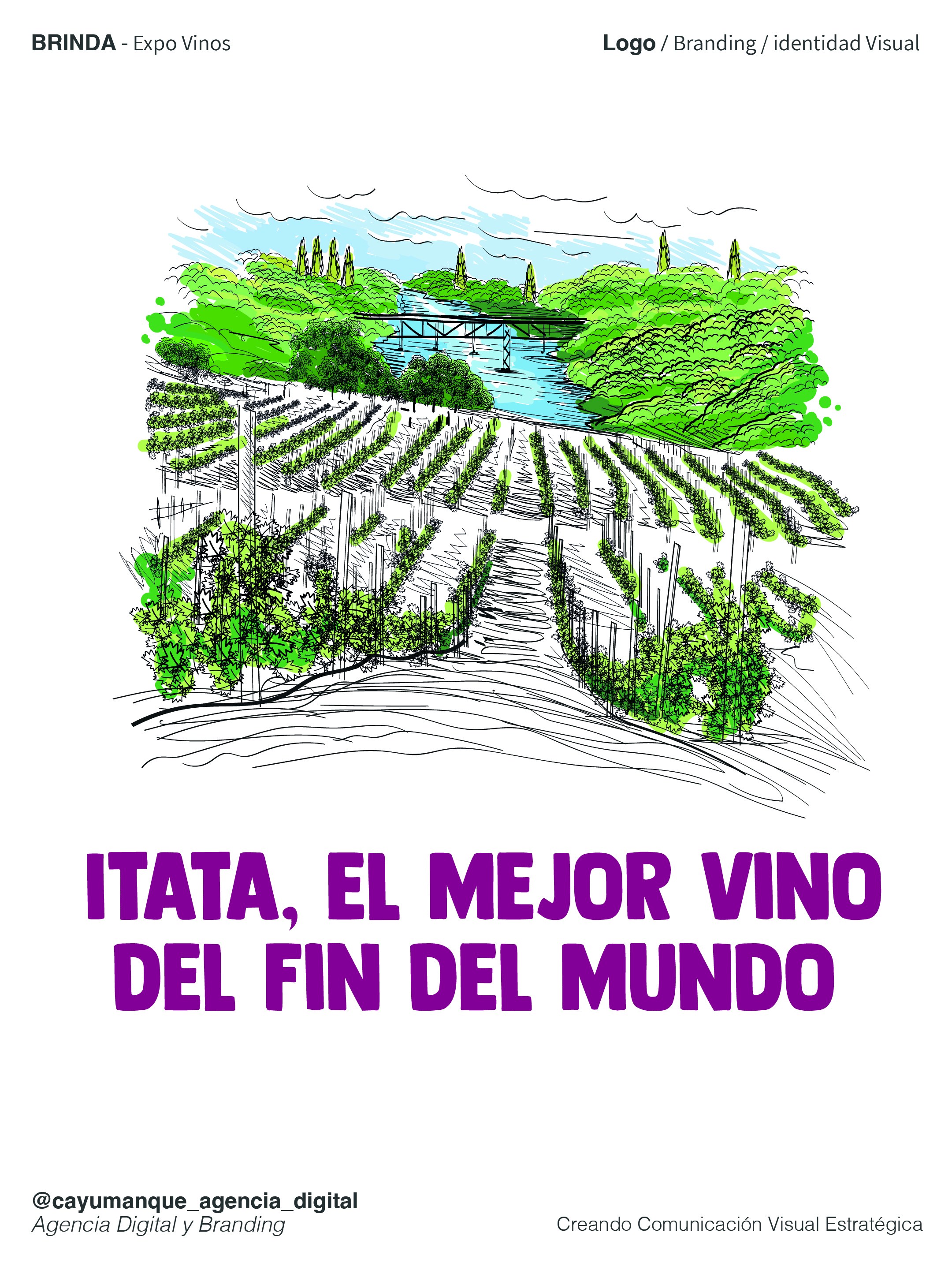 BRINDA - Ilustración Viñedo